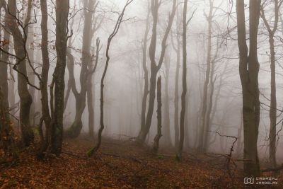 fotograf-cabadaj-priroda-011