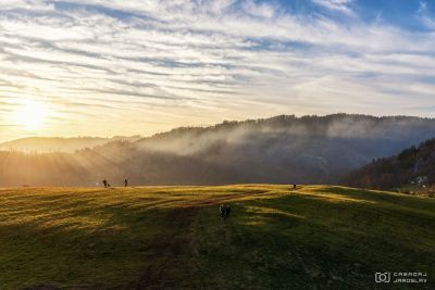 fotograf-cabadaj-priroda-012