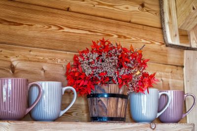 treehouse-stromovy-domcek-cadca-005